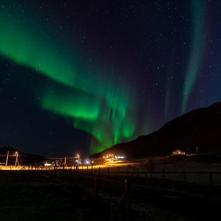 Arctic Lodge Tromvik With Jacuzzi Tromso Bagian luar foto