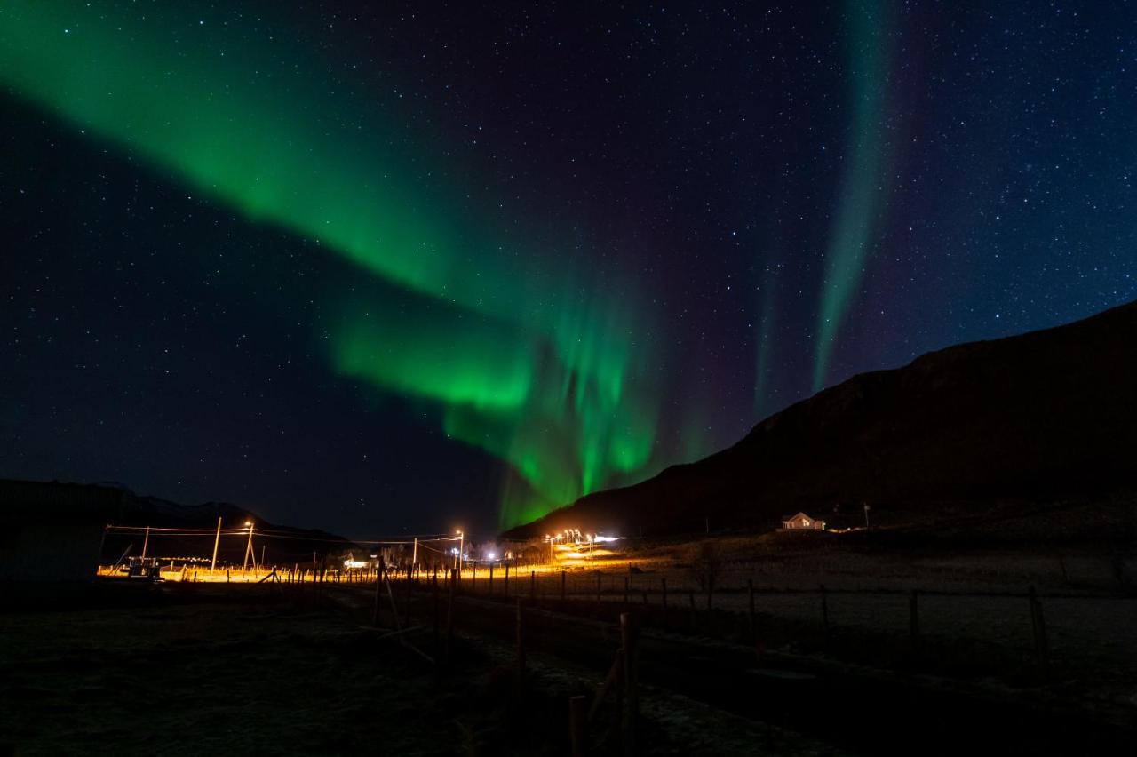 Arctic Lodge Tromvik With Jacuzzi Tromso Bagian luar foto