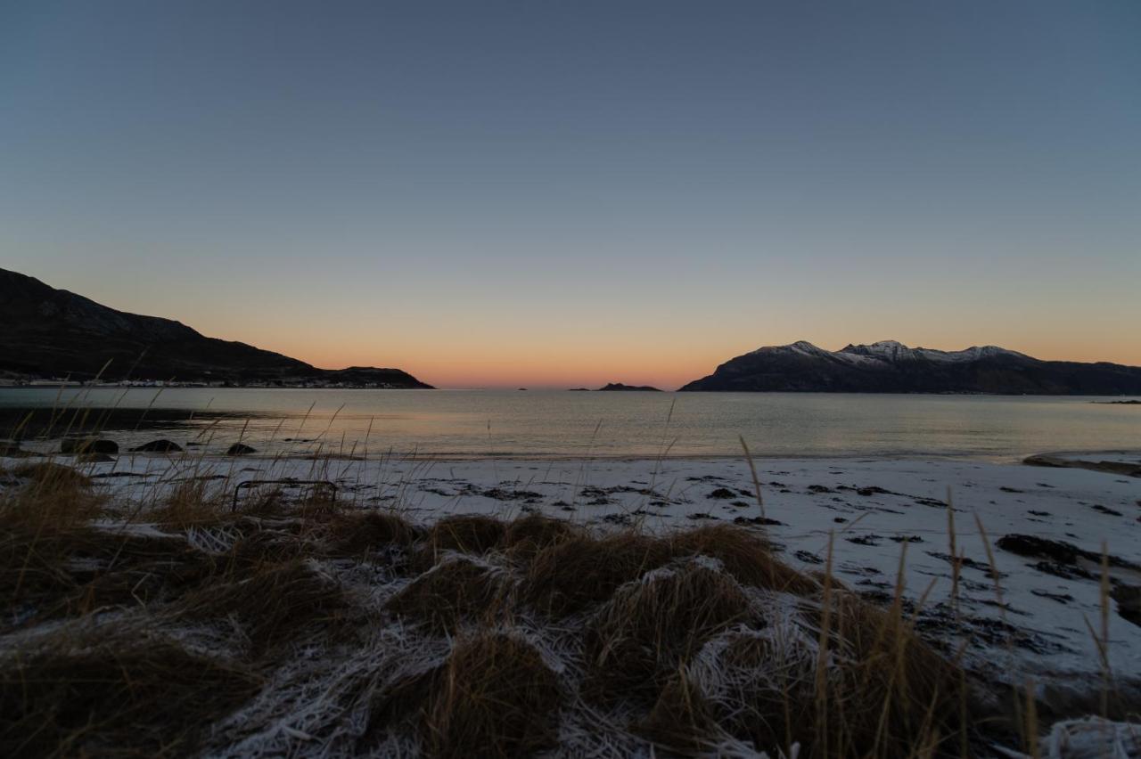 Arctic Lodge Tromvik With Jacuzzi Tromso Bagian luar foto